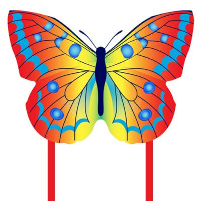 2410-1 Rainbow Butterfly Kite